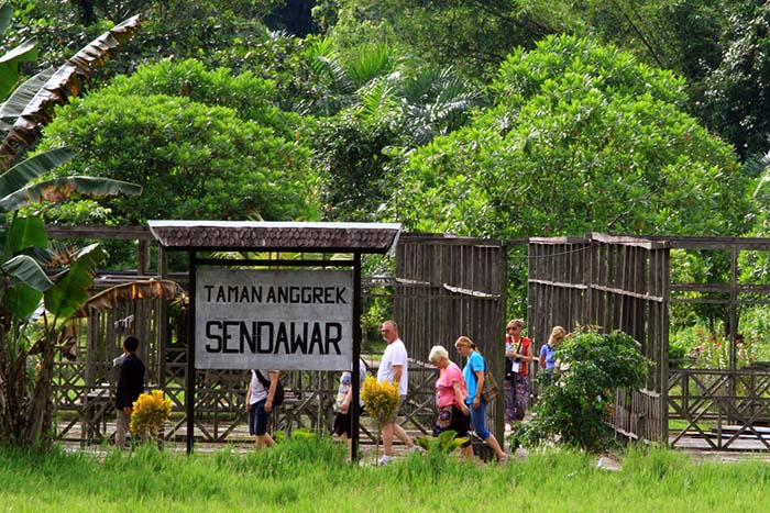 homestay desa wisata