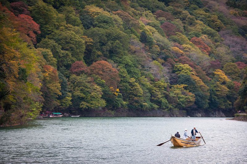 Arashiyama, Pesona Hutan Bambu, Kuil, dan Taman Kera