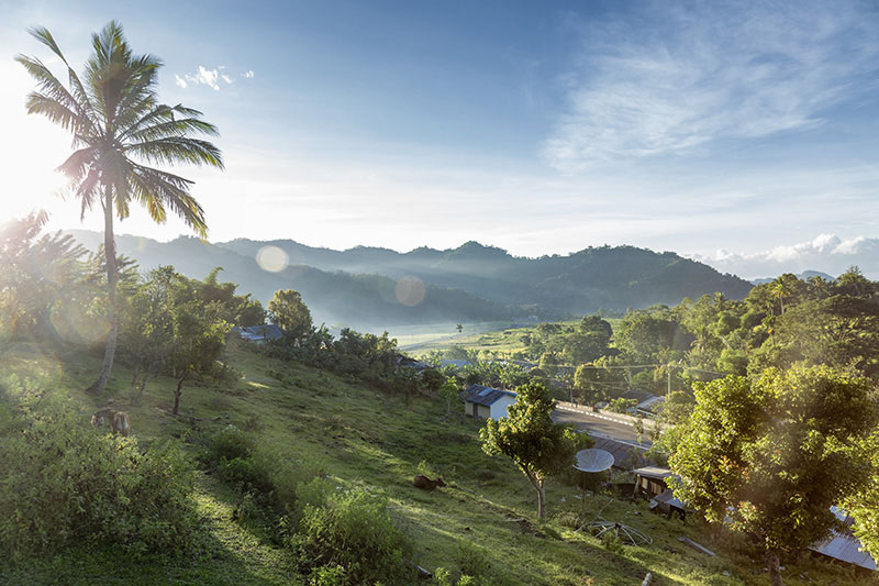 Gunung Moni NTT wisata padang ternak
