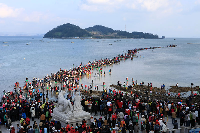 Jindo Miracle Sea Festival