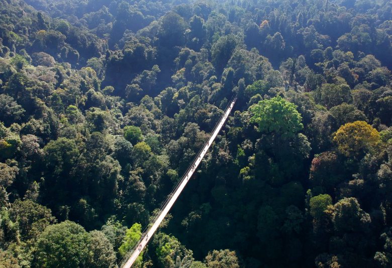 suspension bridge Situ Gunung