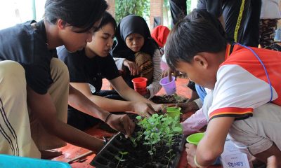Travel for Change Panorama Foundation Ajak Anak Jalanan Berkebun