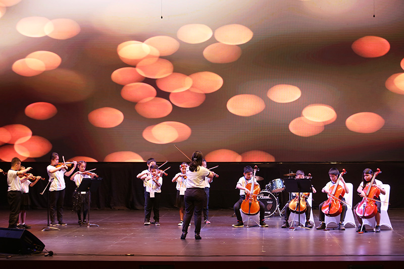 Thank You For The Music: