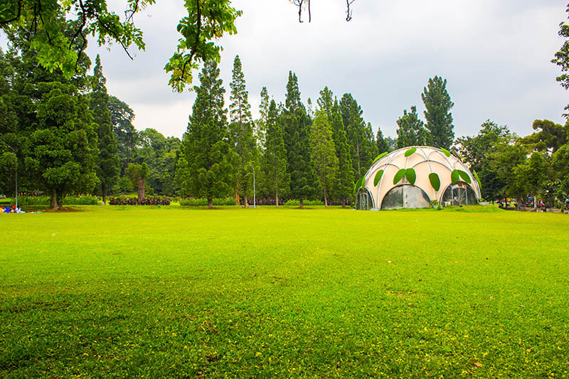 Mitra Natura Raya