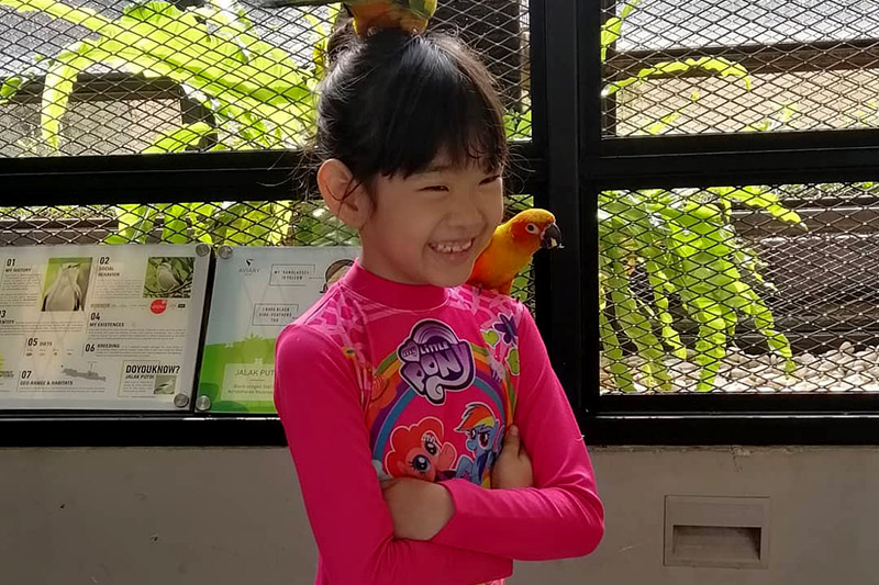 bird talk Aviary Bintaro