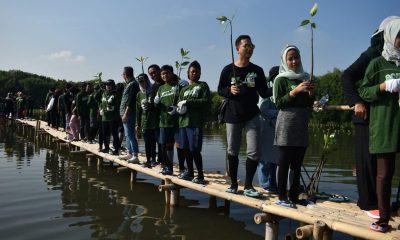 Epson Indonesia Tanam 6000 Pohon dan Rehabilitasi Mangrove