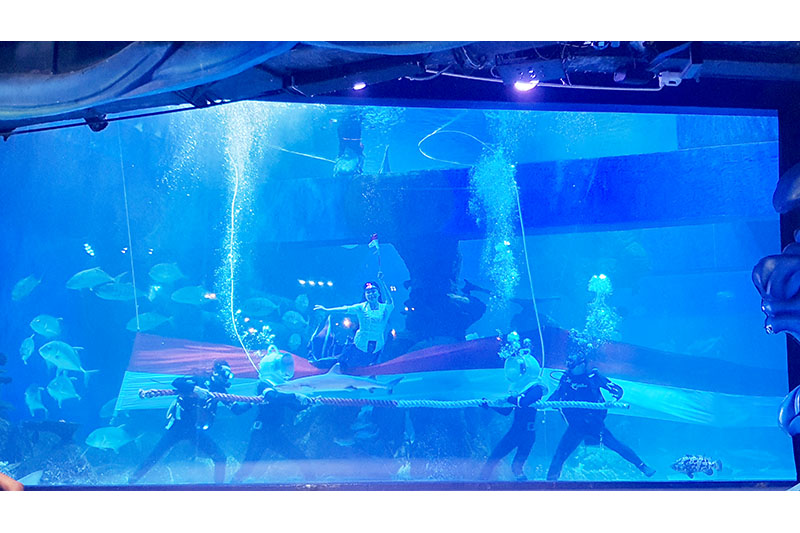 Perlombaan Tarik Tambang Dalam Air Di Jakarta Aquarium & Safari