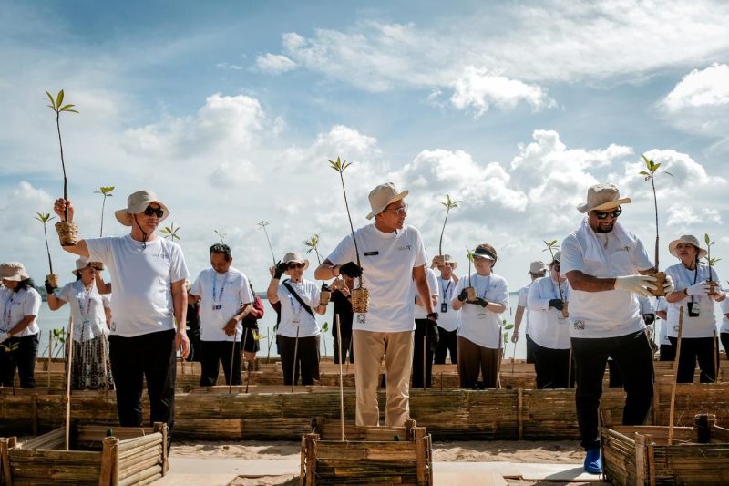 aktivitas menanam bakau green tourism carbon foot print