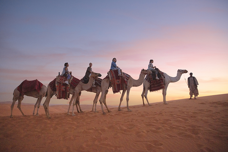 wisata unta di arab saudi