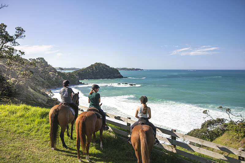 Matapouri, Northland
