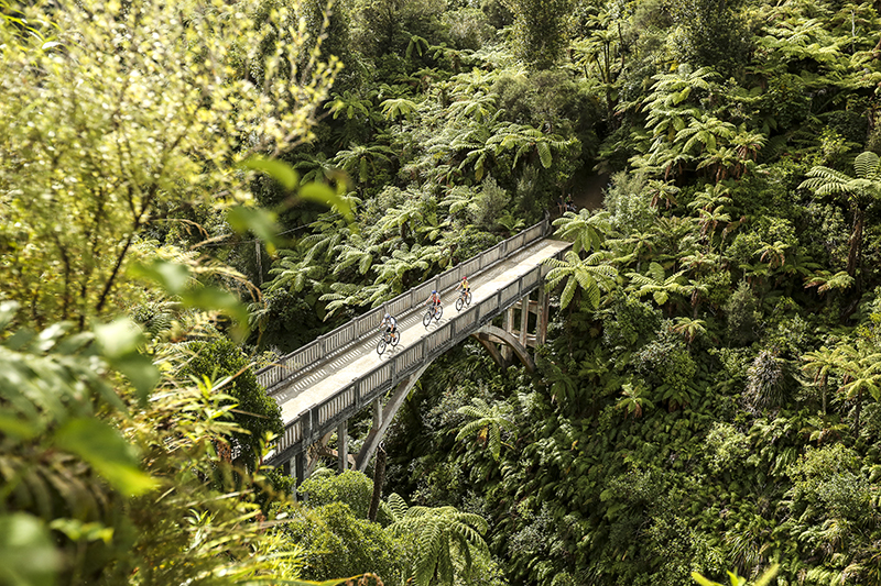 Whanganui National Park, Whanganui