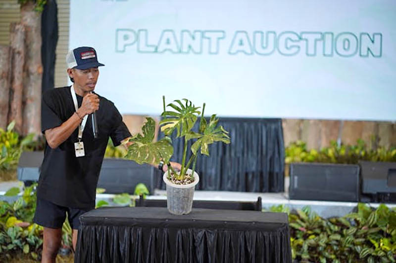 lelang tanaman floii expo 2024