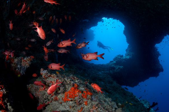diving Kandooma Maldives