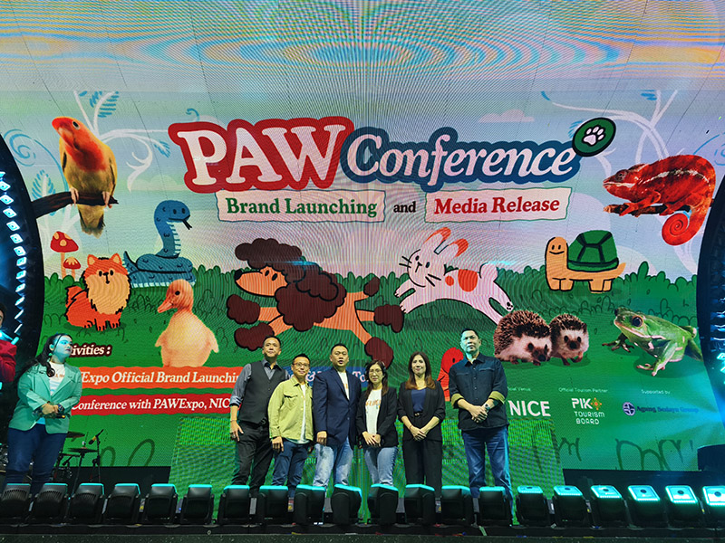 Pet Adventure Wonderland 2026 NICE PIK2