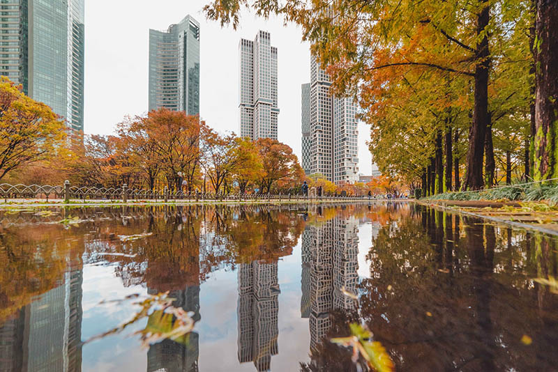 Seoul Forest