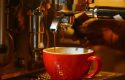Café Brasserie Expo 2025: Eksplorasi Rasa dan Identitas