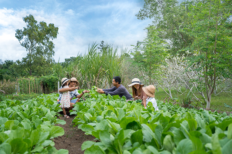 AYANA Farm_Farm Walk_