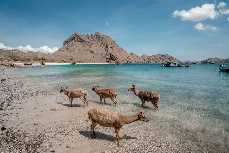 Labuan Bajo