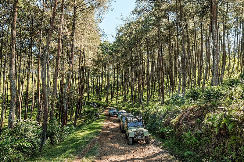 offroad jeep di hutan_birkom-11