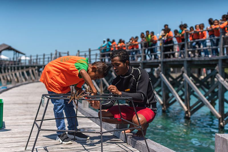 Marine Life Workshop_Coral Planting AYANA Komodo Waecicu Beach