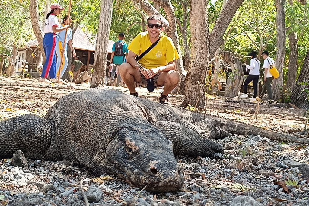PT B2K Epic Adventures Komodo dragon