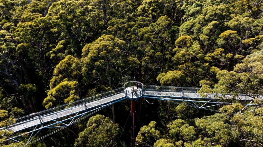 hutan di South West Australia