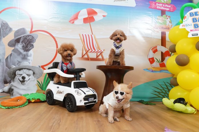 FOTO PENDUKUNG Jakarta International Pet Show