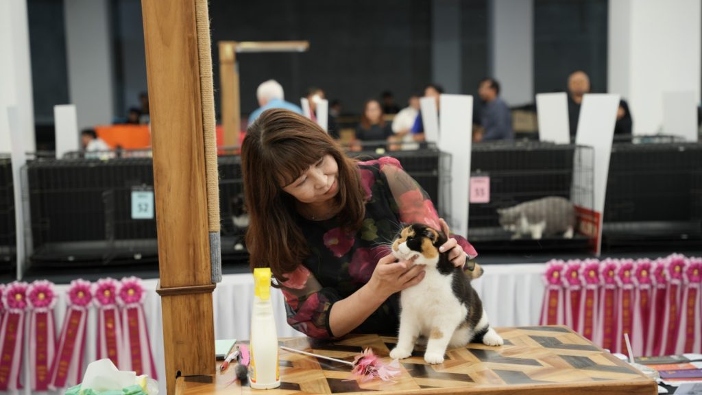 Jakarta International Pet Show