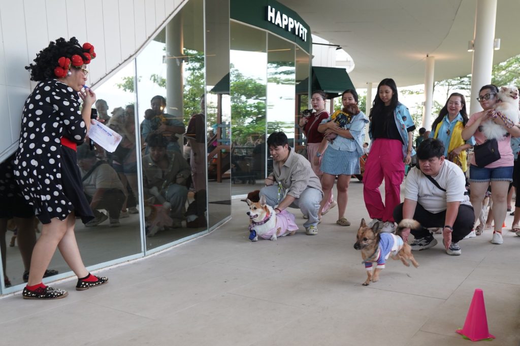 Kompetisi hewan Jakarta International Pet Show 2026