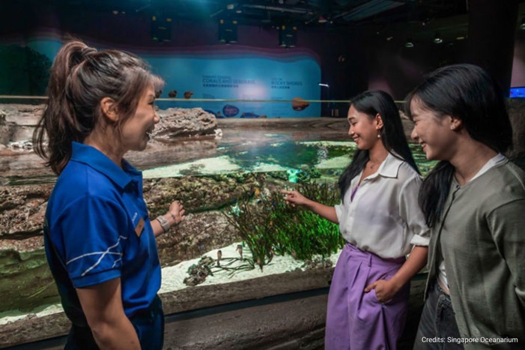 Singapore Oceanarium (1)
