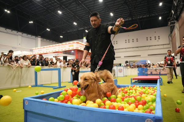 Jakarta International Pet Show 2026