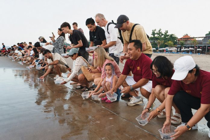 Rayakan 17 Tahun, THE HAVEN Bali Seminyak Lepas 117 Tukik ke Laut