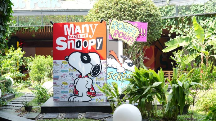 Snoopy Run