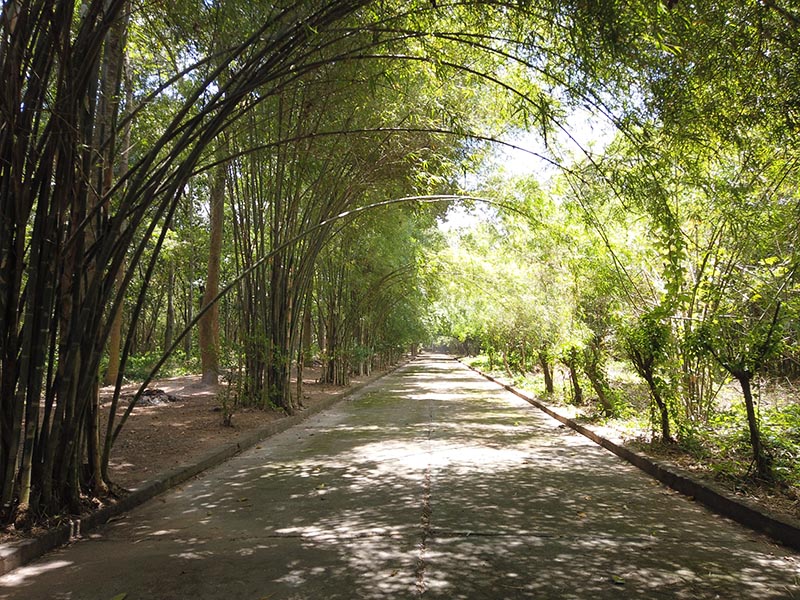 Bamboo village in Binh Duong, Vietnam